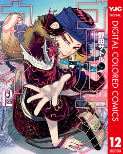 ゴールデンカムイ カラー版 12巻