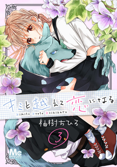 キミと越えて恋になる 3巻