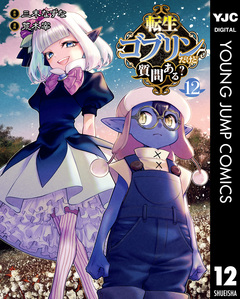 転生ゴブリンだけど質問ある? 12巻