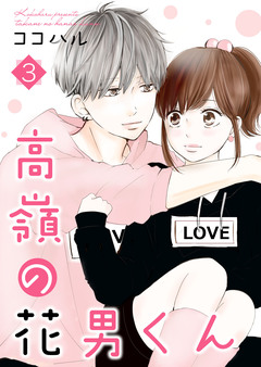 高嶺の花男くん【合冊版】 3巻