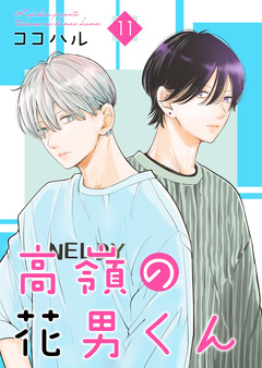 高嶺の花男くん【合冊版】 11巻