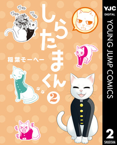 しらたまくん 2巻