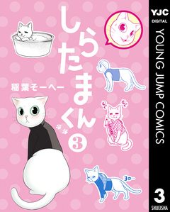 しらたまくん 3巻