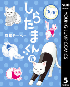 しらたまくん 5巻