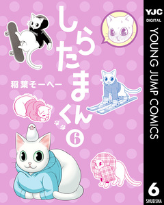 しらたまくん 6巻