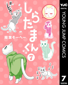 しらたまくん 7巻