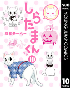 しらたまくん 10巻