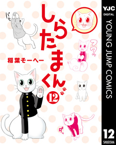 しらたまくん 12巻