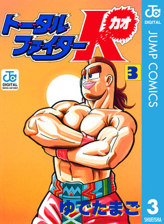 トータルファイターK 3巻