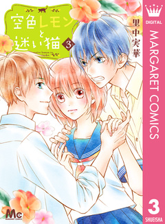 空色レモンと迷い猫 3巻