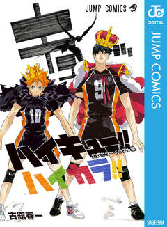 ハイキュー!! 公式カラーイラスト集 ハイカラ!! 1巻