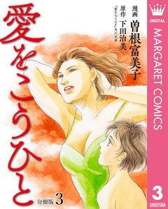 愛をこうひと 分冊版 3巻