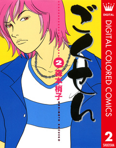 ごくせん カラー版 2巻