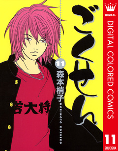 ごくせん カラー版 11巻