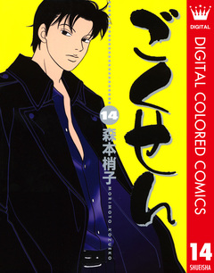ごくせん カラー版 14巻