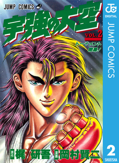 宇強の大空 2巻