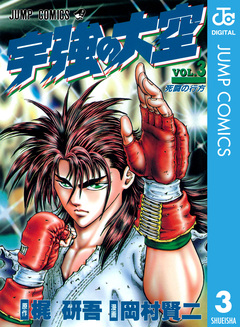 宇強の大空 3巻