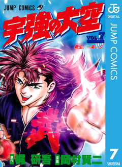 宇強の大空 7巻