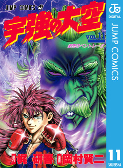 宇強の大空 11巻