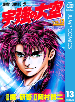 宇強の大空 13巻