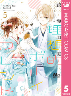 理想的ボーイフレンド 5巻