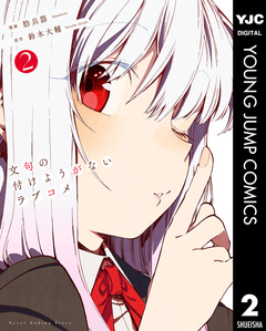 文句の付けようがないラブコメ 2巻