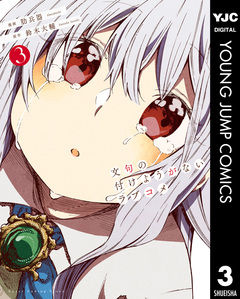 文句の付けようがないラブコメ 3巻