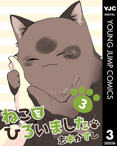 ねこをひろいました。 3巻