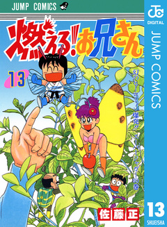 燃える!お兄さん 13巻