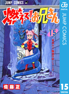 燃える!お兄さん 15巻