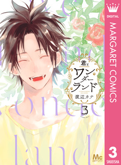 君とワンダーランド 3巻