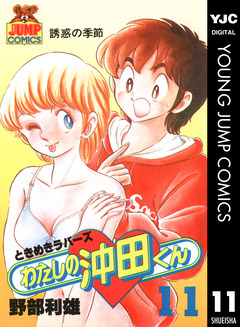 わたしの沖田くん 11巻