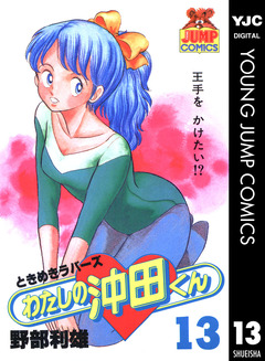 わたしの沖田くん 13巻