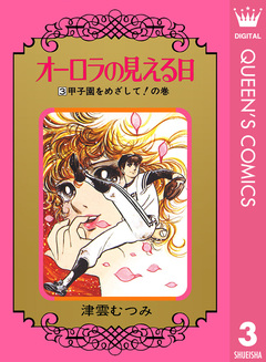 オーロラの見える日 3巻