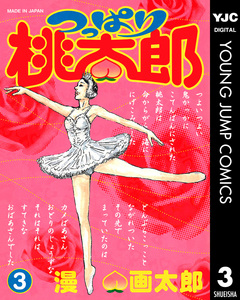 つっぱり桃太郎 3巻