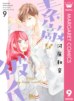 素敵な彼氏 9巻