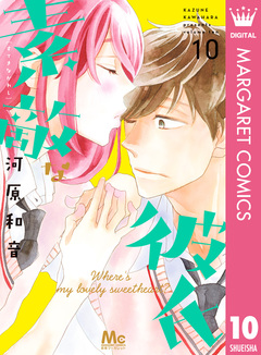 素敵な彼氏 10巻