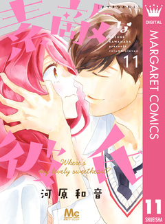 素敵な彼氏 11巻