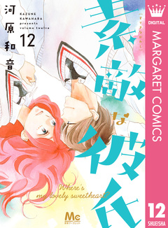 素敵な彼氏 12巻