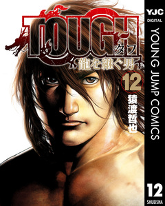 TOUGH 龍を継ぐ男 12巻