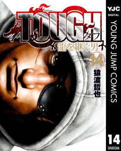 TOUGH 龍を継ぐ男 14巻