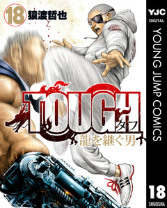 TOUGH 龍を継ぐ男 18巻