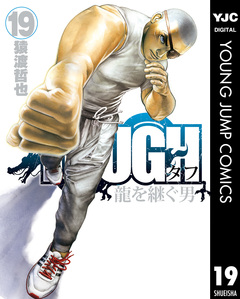 TOUGH 龍を継ぐ男 19巻