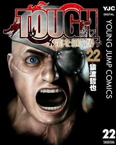 TOUGH 龍を継ぐ男 22巻