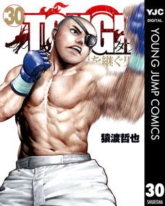 TOUGH 龍を継ぐ男 30巻