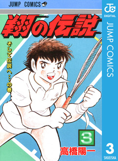翔の伝説 3巻