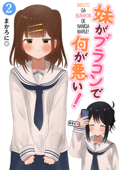 妹がブラコンで何が悪い!【同人版】 2巻