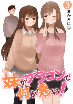 妹がブラコンで何が悪い!【同人版】 3巻