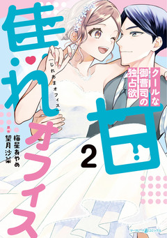 焦れ甘オフィス~クールな御曹司の独占欲~ 2巻