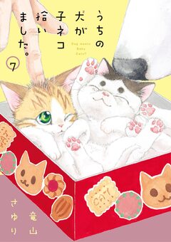 うちの犬が子ネコ拾いました。 7巻